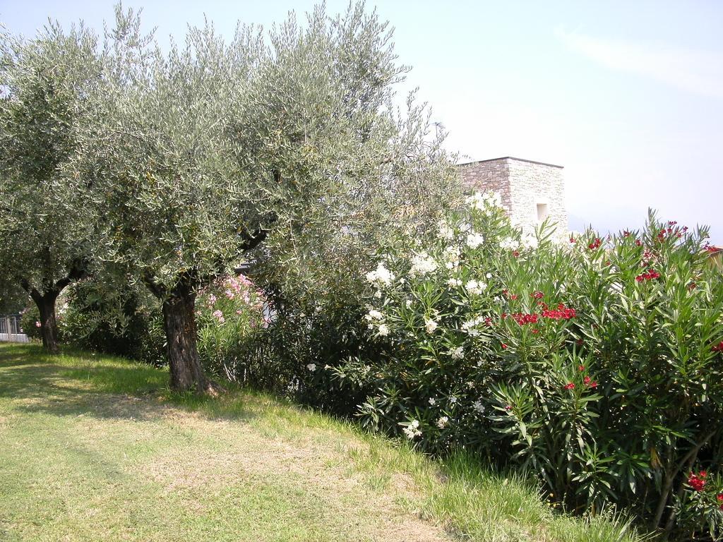 B&B Agli Ulivi Манерба-дель-Гарда Экстерьер фото